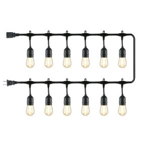 24-Foot Outdoor Commercial String Lights, 12 Shatterproof LED Bulbs, Indoor/Outdoor Use