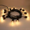 24-Foot Outdoor Commercial String Lights, 12 Shatterproof LED Bulbs, Indoor/Outdoor Use